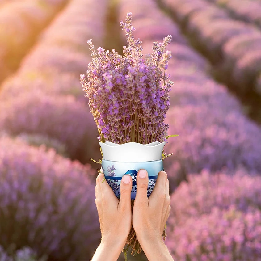 Ambipur Lavender Trio Best Wishes Gift Pack