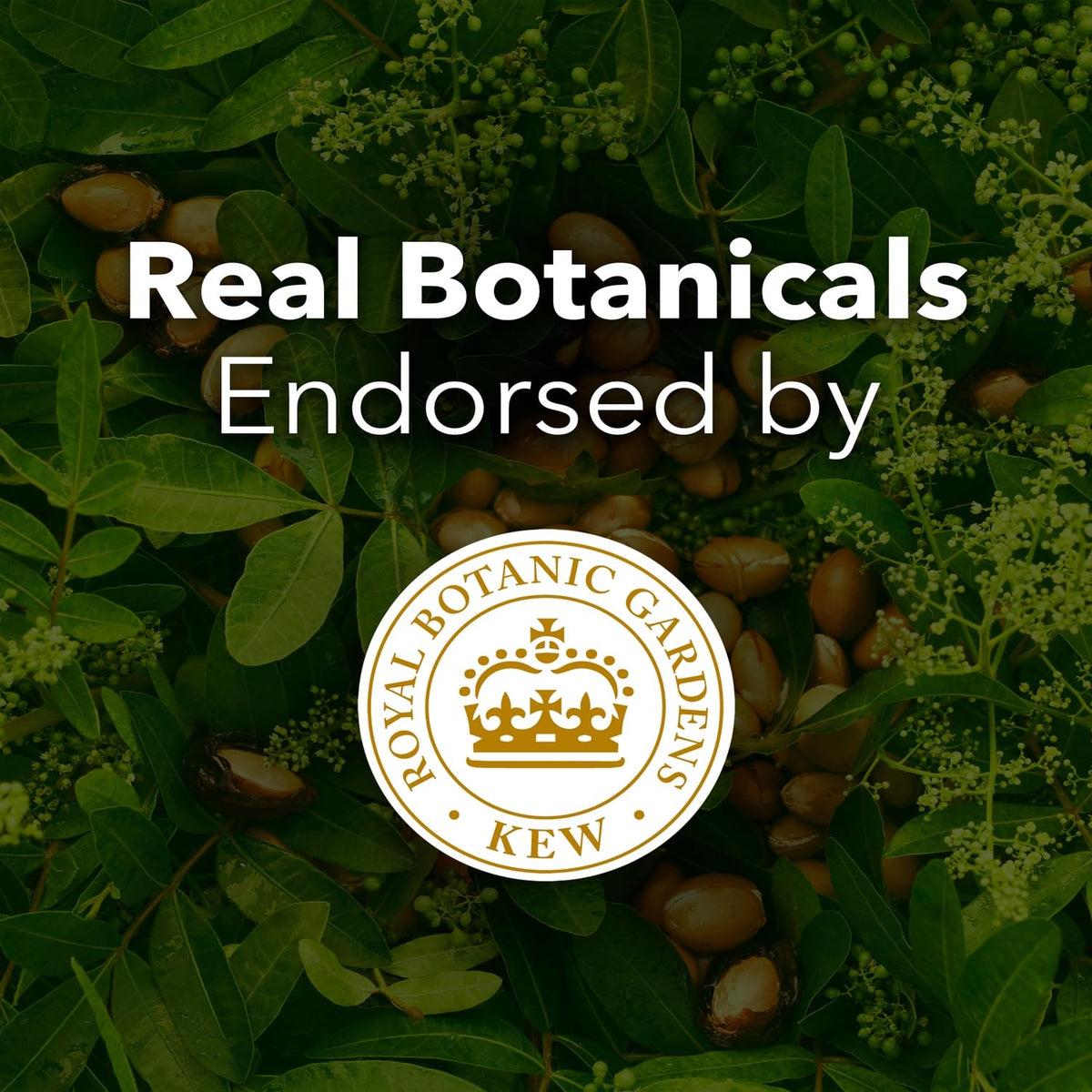 Herbal Essences Botanical Beauty Haircare Kit