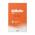 Gillette Fusion Anniversary Travel Kit